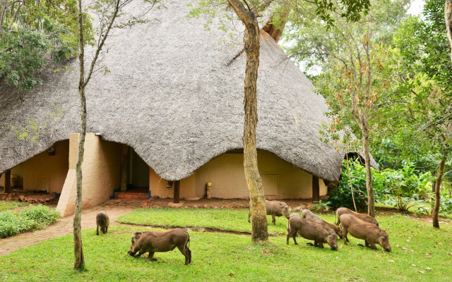Lokuthula Lodges