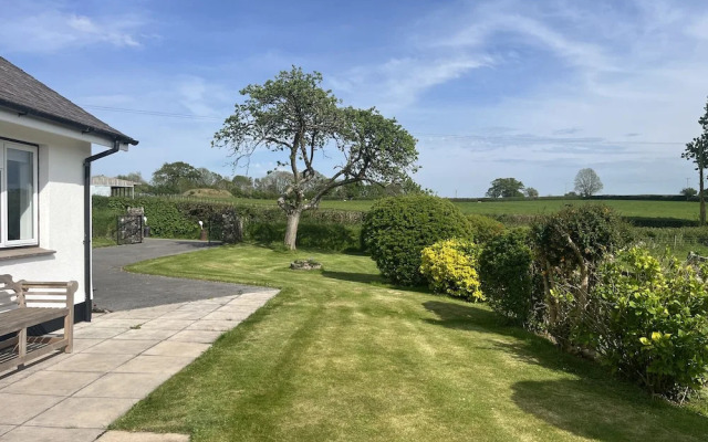 War Horse Valley Orchard View