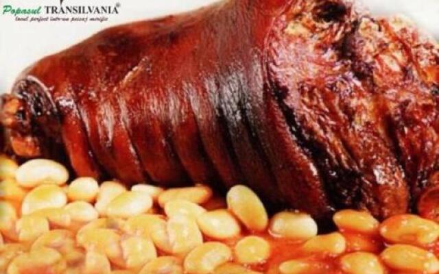 Popasul Transilvania