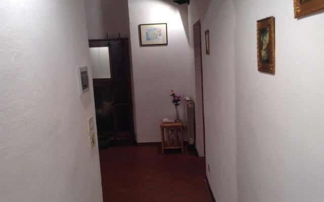 Vellutini Number One