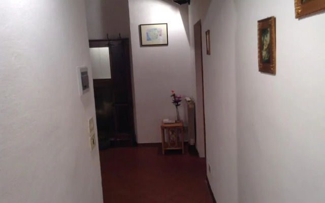 Vellutini Number One