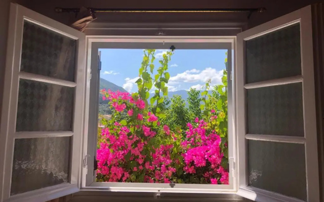 Tilde on the beach, Apts - Sami Kefalonia