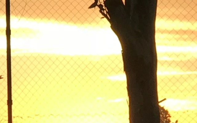 Monavale Hills Getaway