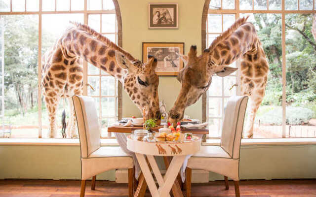 Giraffe Manor