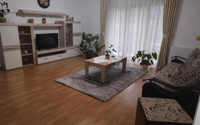 Cosy apartment I