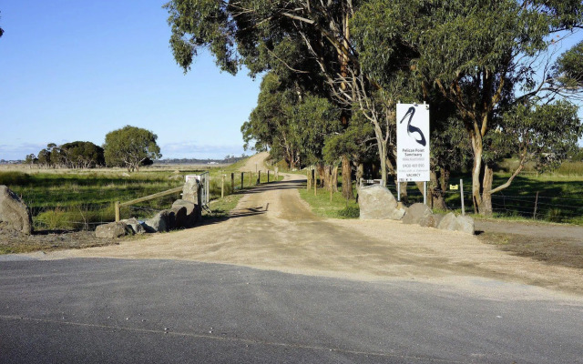 Pelican Point Tasmania
