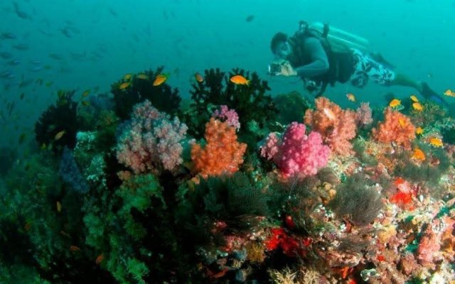 SeaHouse TopDeck Hotel Maldives