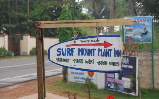 Surf Mount Plant Inn Midigama