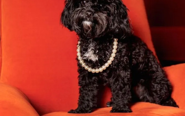 Scape Living at Aurora