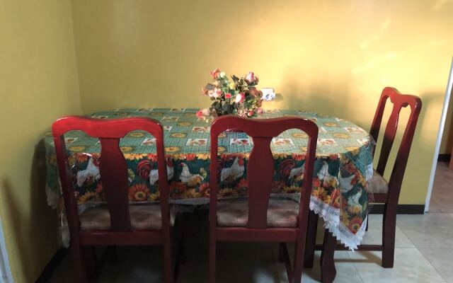 Logerthine Studio Suriname