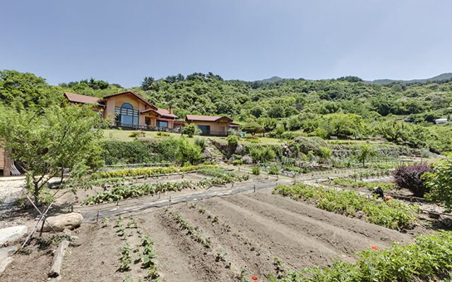 Hadong Jjillekkoch Hill Pension