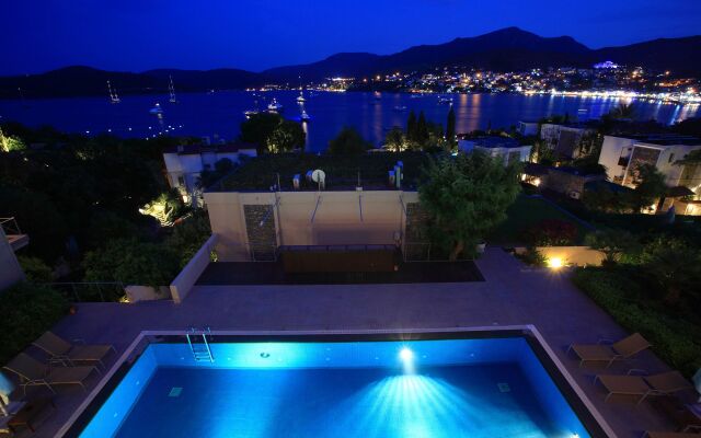 No 81 Hotel
