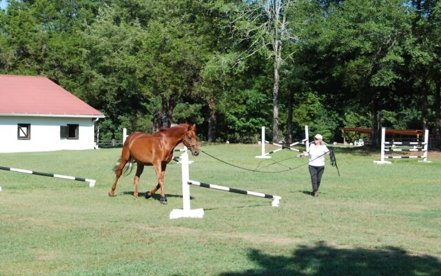 The Colonels B&B and Inn