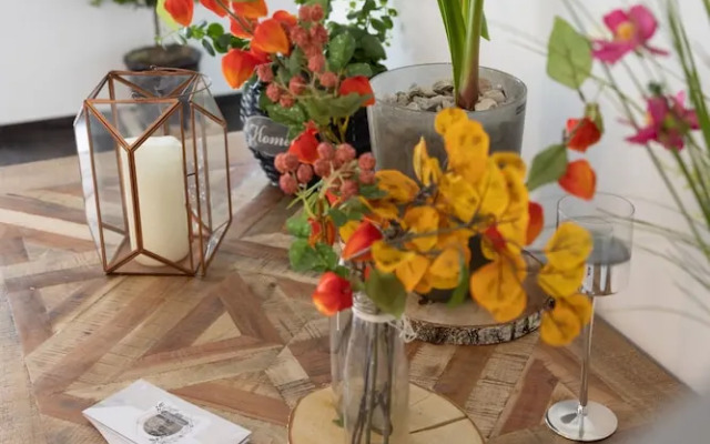 Haidinger Boutique Domizil