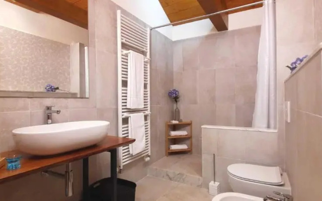 Camere B81 di Strain Neva