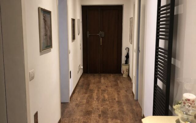 Le Notti Di Giulietta