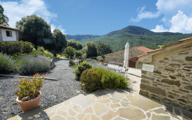 Cozy Holiday Home in Anghiari Italy With Pool