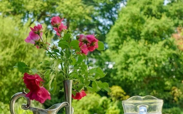 Cedar House Boutique B&B