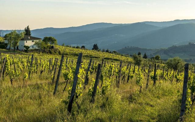 Agriturismo Fattoria Lavacchio