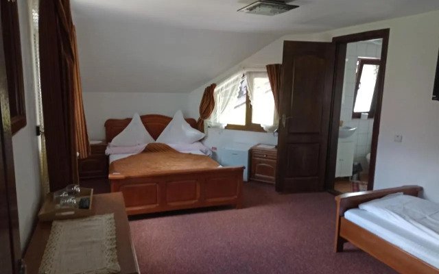 Casa Plai din Bucovina