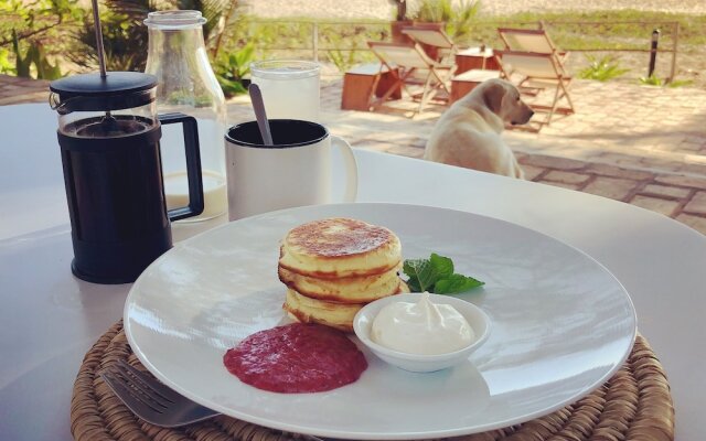 Liquid Dive Adventures