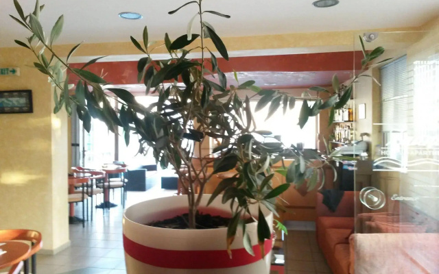 Zannis Hotel