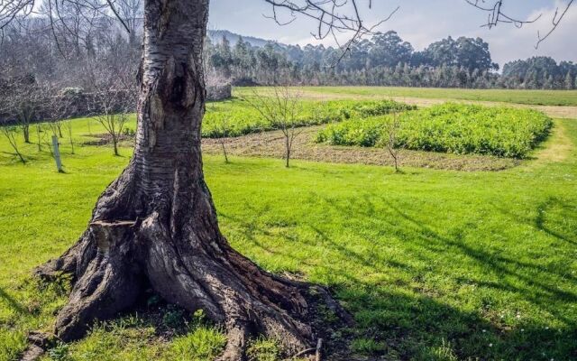 Apartamentos Casa Benito