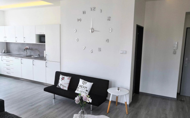 Modern apartments Brno-center