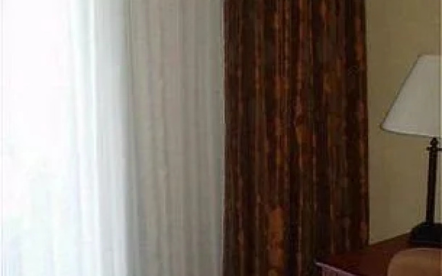 Holiday Inn Albany Mall-dawson