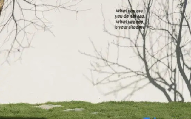 The Juno's Mew-Mew Hotel