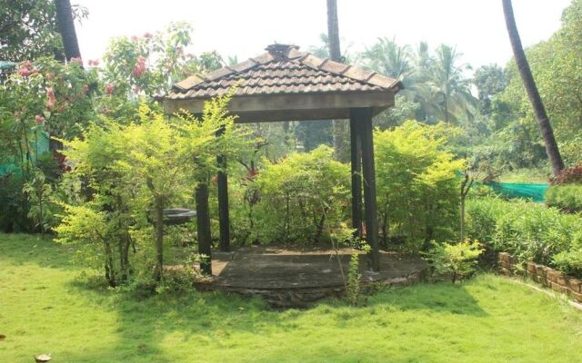 LSQ Luxuria (Nagaon)