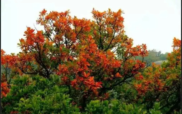 Yesahnpo Bailixia Rujia Hotel