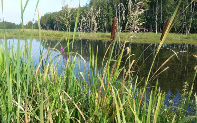 Impresja - pokoje gościnne na nadbużańskich łąkach