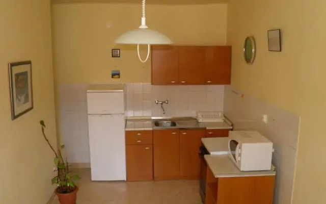 Apartment Vedrica