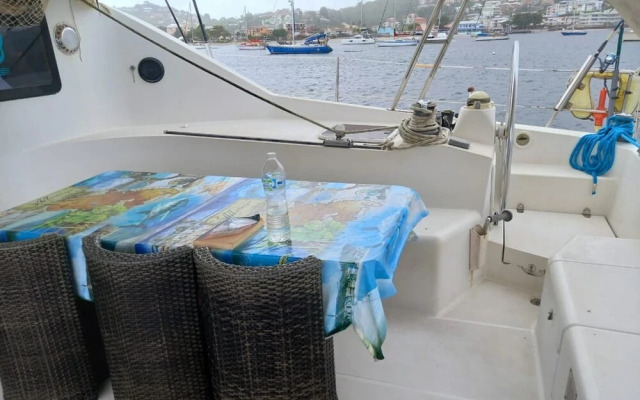 Lady Jane 2 - Catamaran Atypique