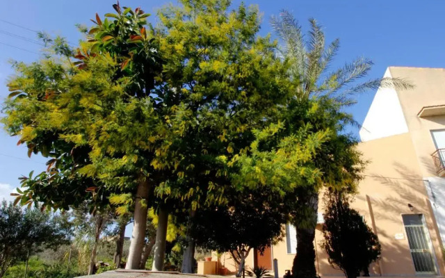 B&B La Mimosa