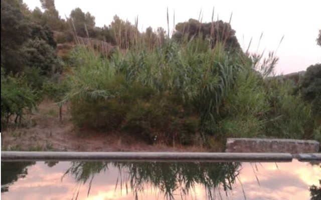 Villa Son Quint