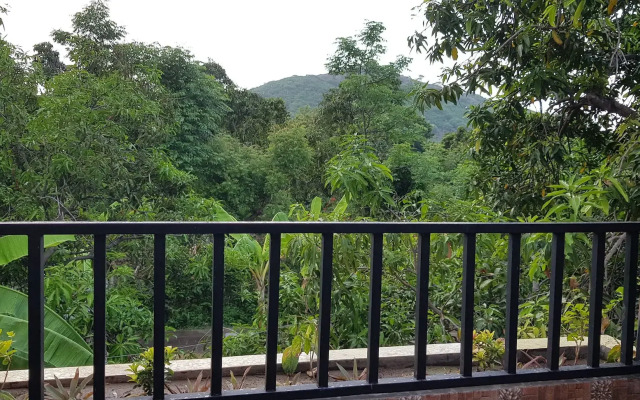 Mango Tree Inn