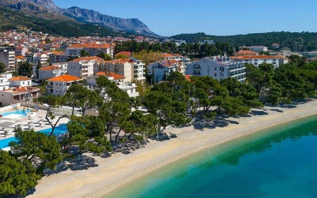 Angel - Nice Garden - SA