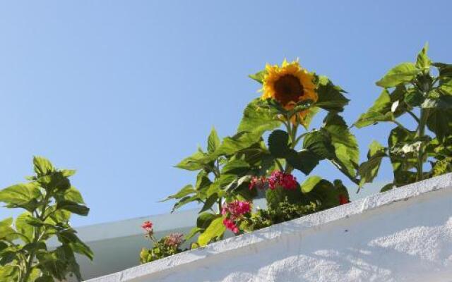 Apartamentos Gelimar