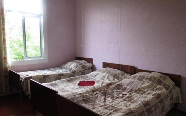 Guest House Martvili on Kostava