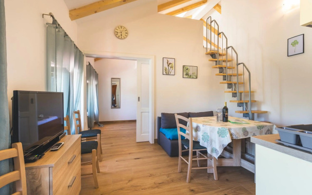 Vinea apartmani Umag