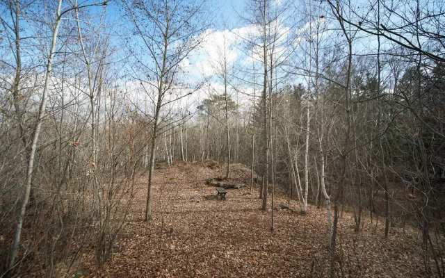 rinne 2nd living Kitakaruizawa Forest