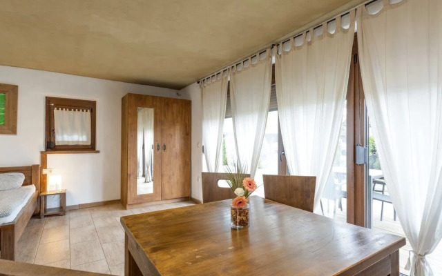 Pannonian Studio With Terrace