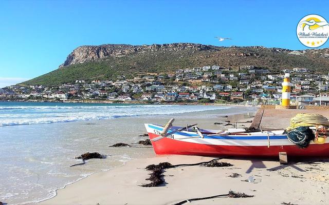 Surfers Studio Muizenberg Beachfront