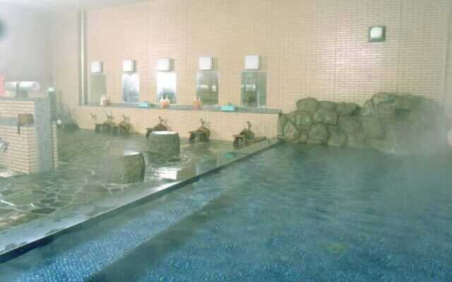 Sugadairakogen Onsen Hotel