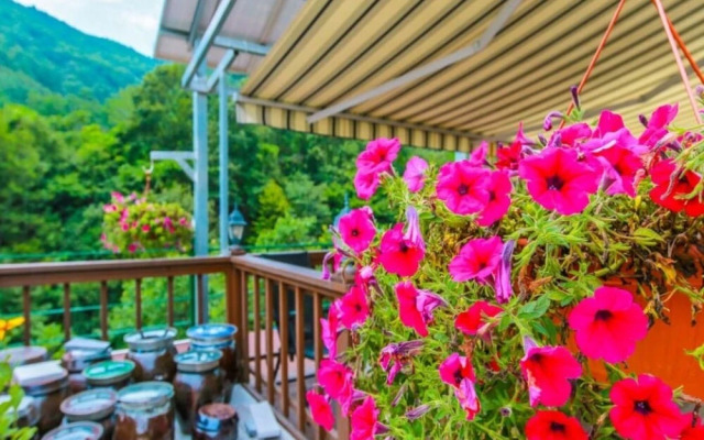 Yangyang Daol Pension