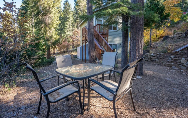 Yosemite Woods