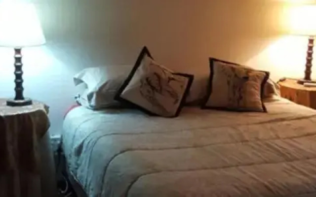 Owl House Marloth Park