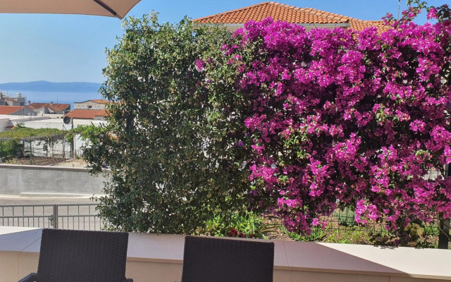 Apartment Dvije Palme-Baranjska